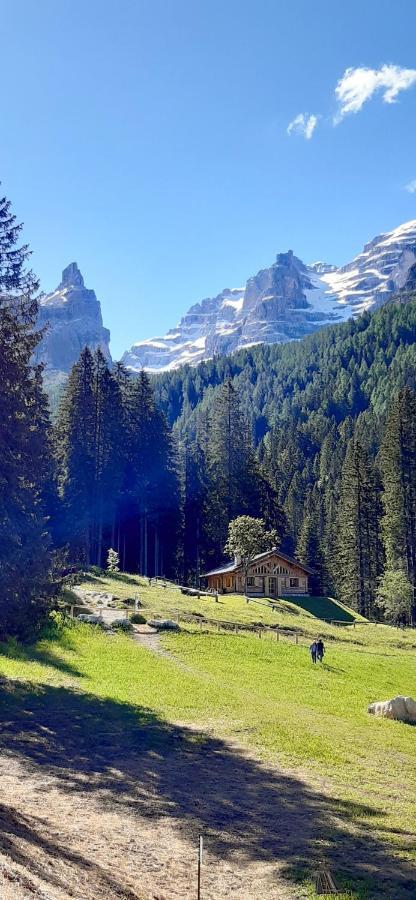 Chalet Brenta Dolomites Madonna 外观 照片