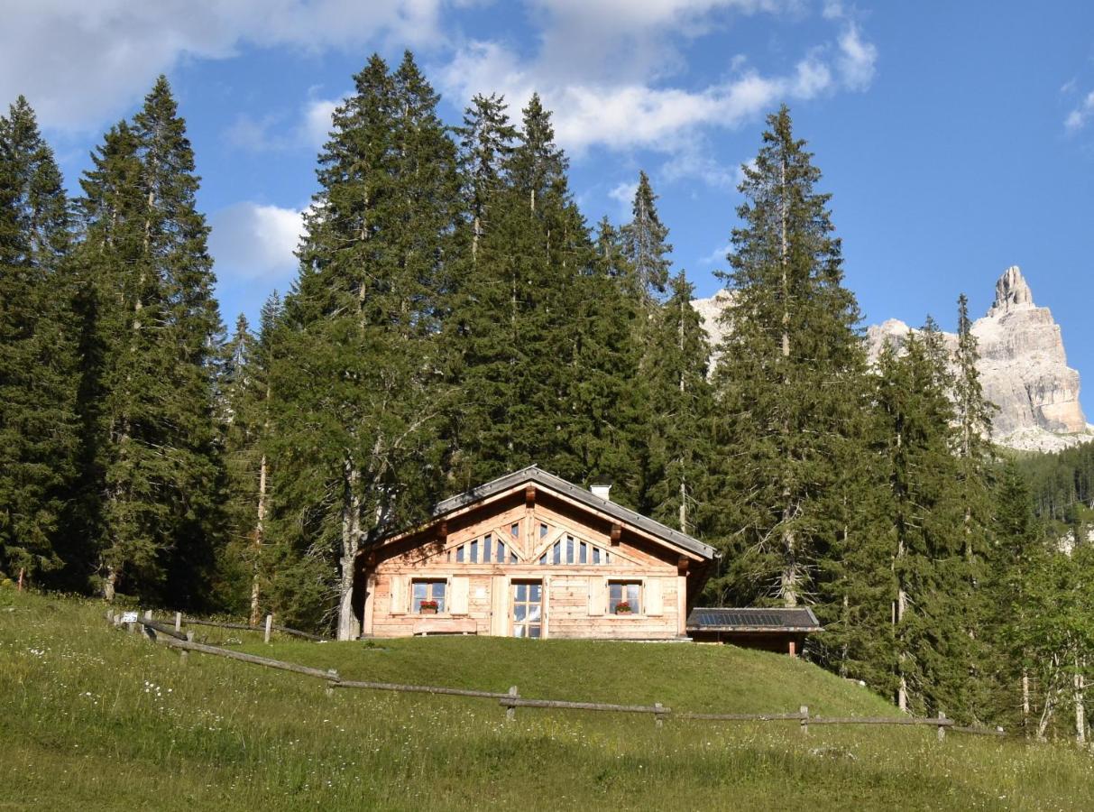 Chalet Brenta Dolomites Madonna 外观 照片