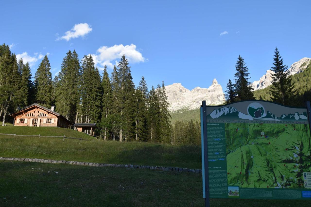Chalet Brenta Dolomites Madonna 外观 照片
