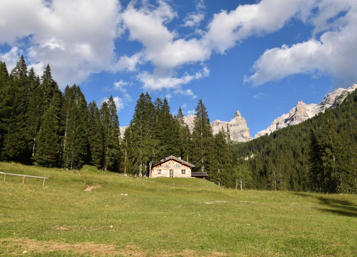 Chalet Brenta Dolomites Madonna 外观 照片