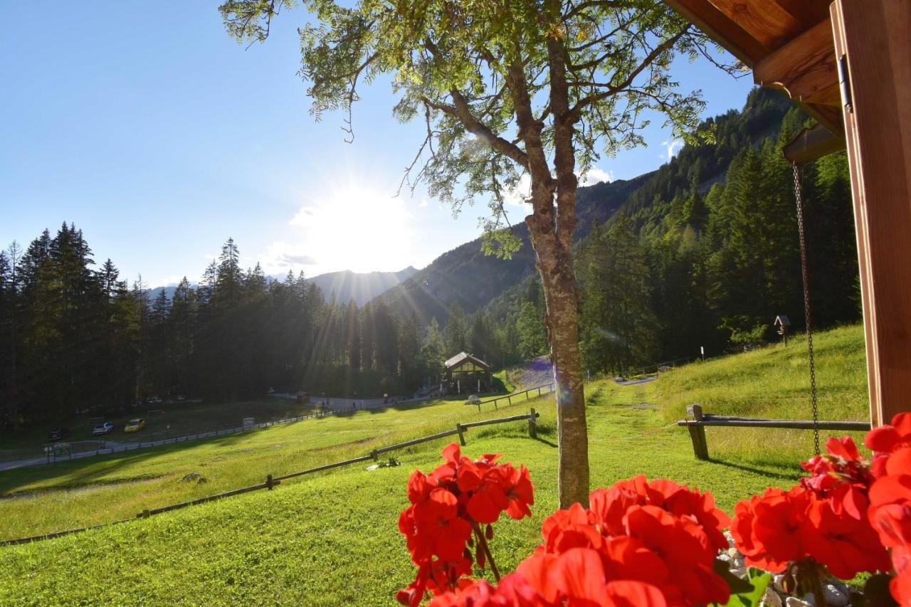 Chalet Brenta Dolomites Madonna 外观 照片