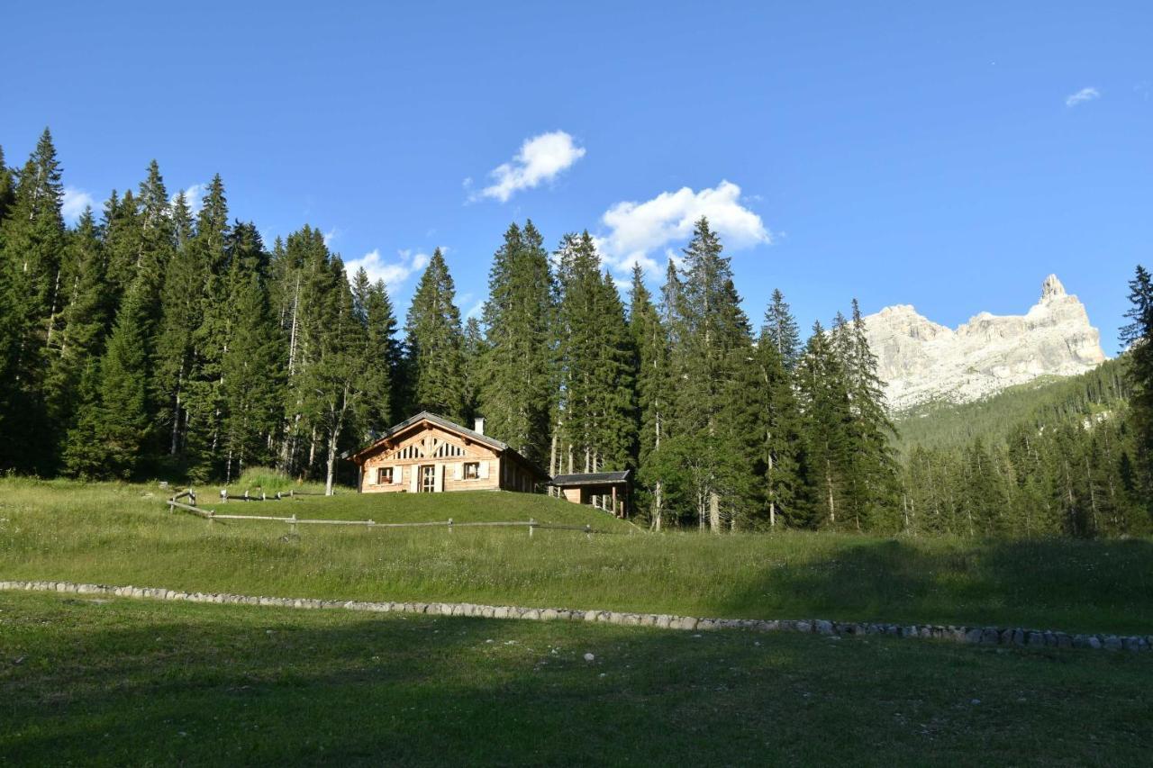 Chalet Brenta Dolomites Madonna 外观 照片