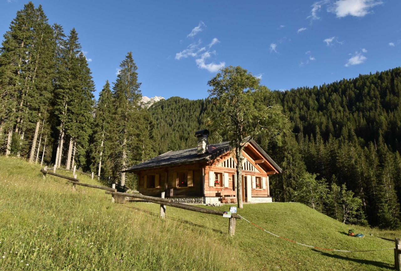 Chalet Brenta Dolomites Madonna 外观 照片
