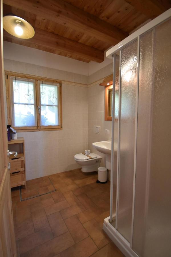 Chalet Brenta Dolomites Madonna 外观 照片