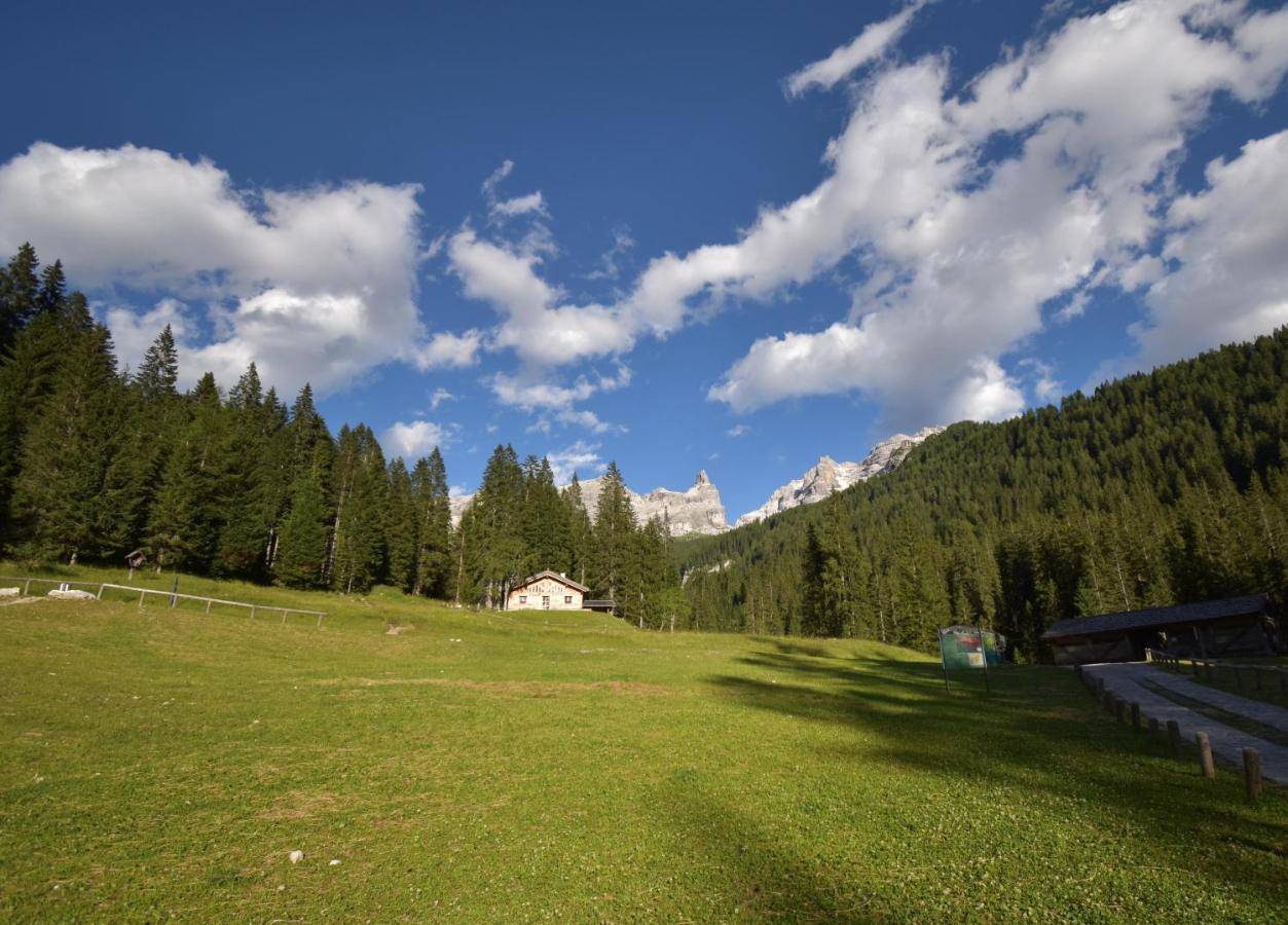 Chalet Brenta Dolomites Madonna 外观 照片