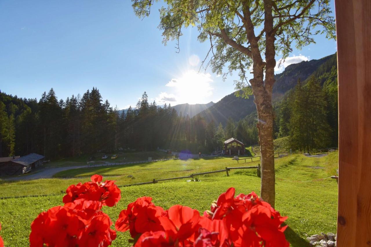 Chalet Brenta Dolomites Madonna 外观 照片