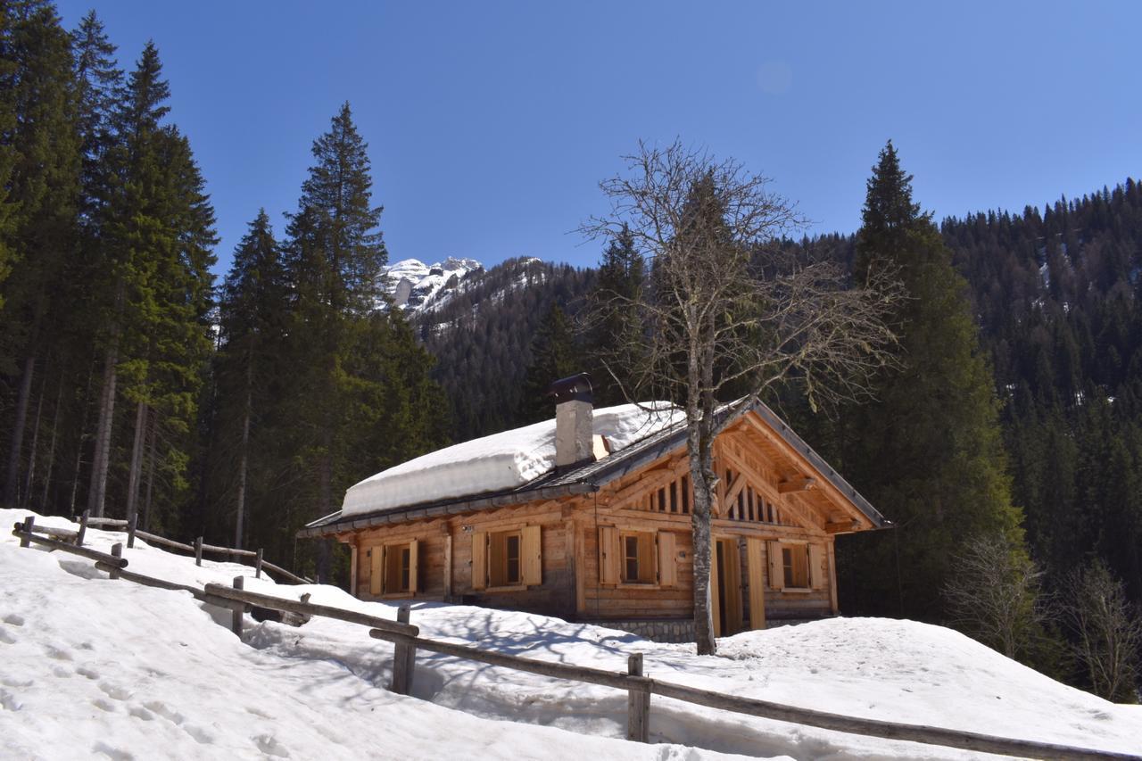Chalet Brenta Dolomites Madonna 外观 照片