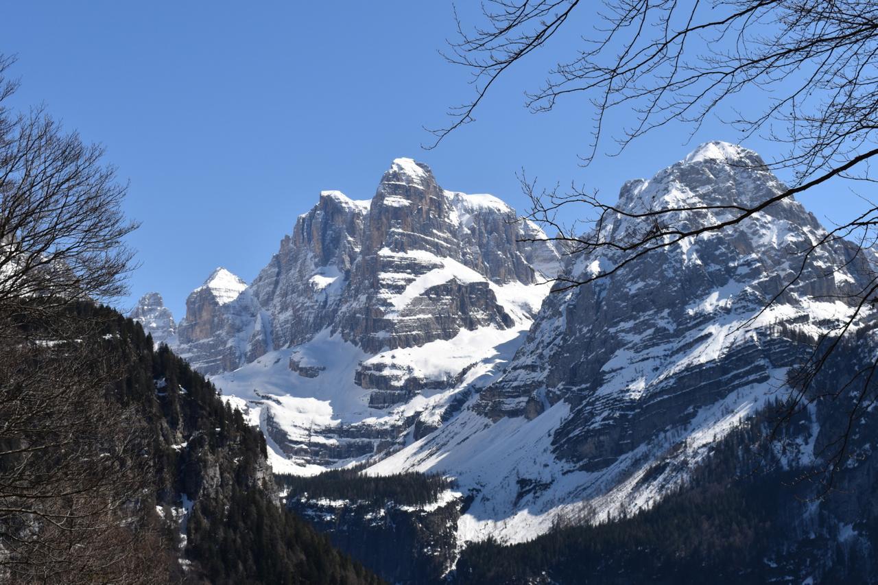 Chalet Brenta Dolomites Madonna 外观 照片