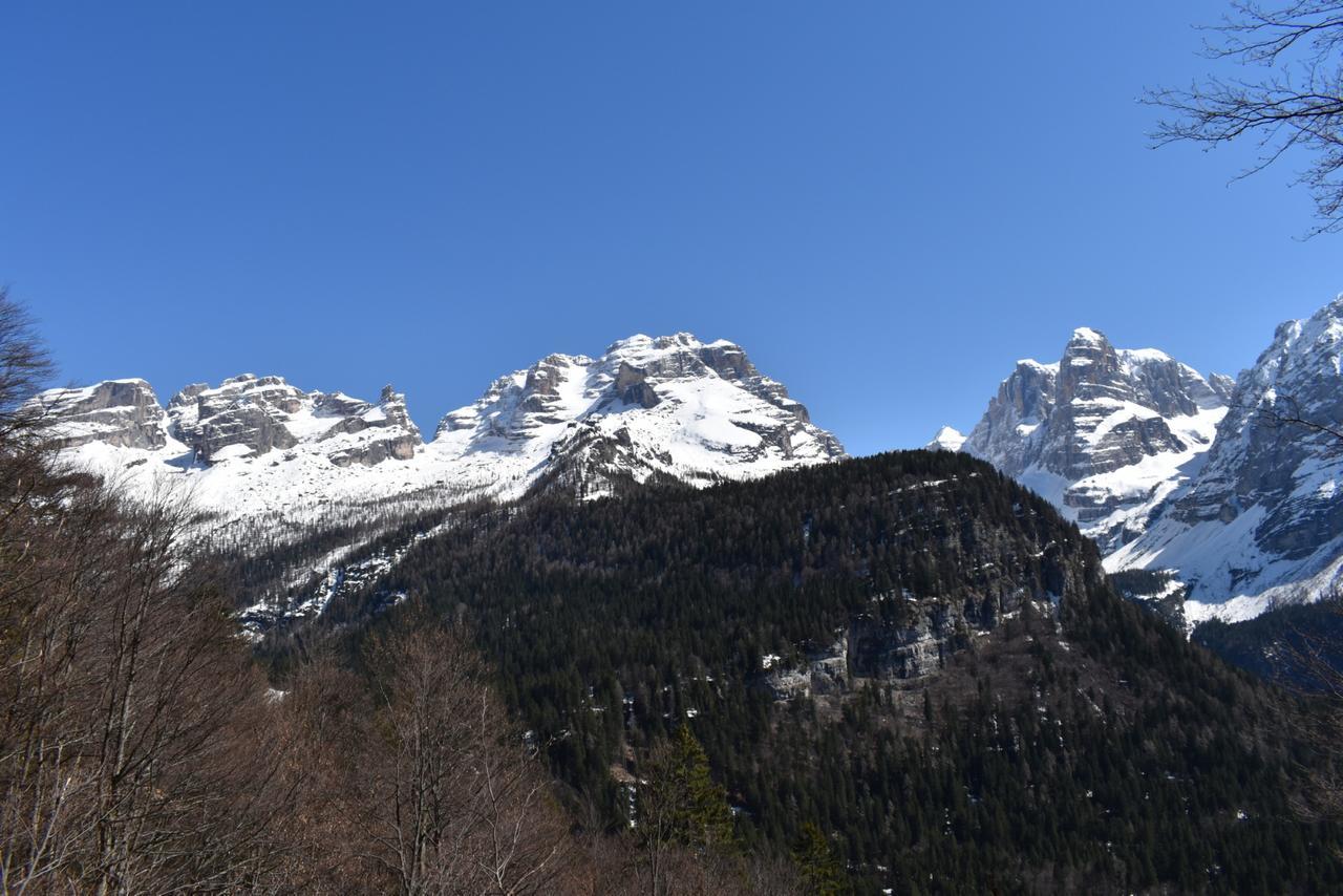 Chalet Brenta Dolomites Madonna 外观 照片
