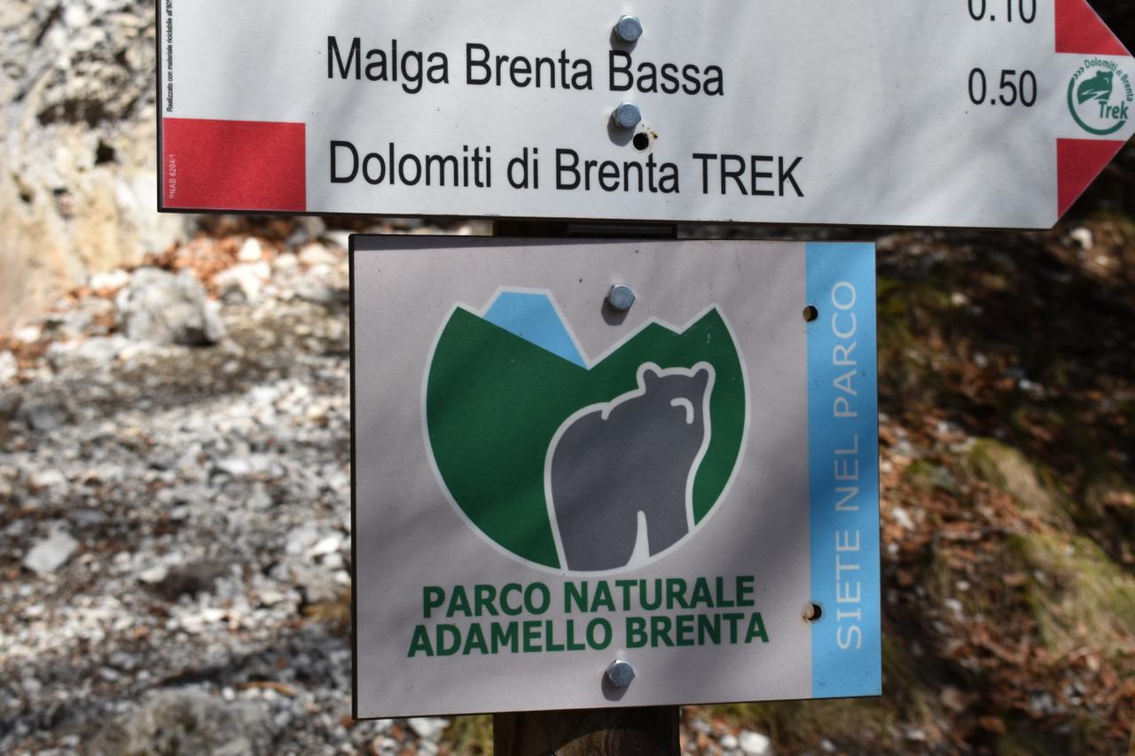 Chalet Brenta Dolomites Madonna 外观 照片