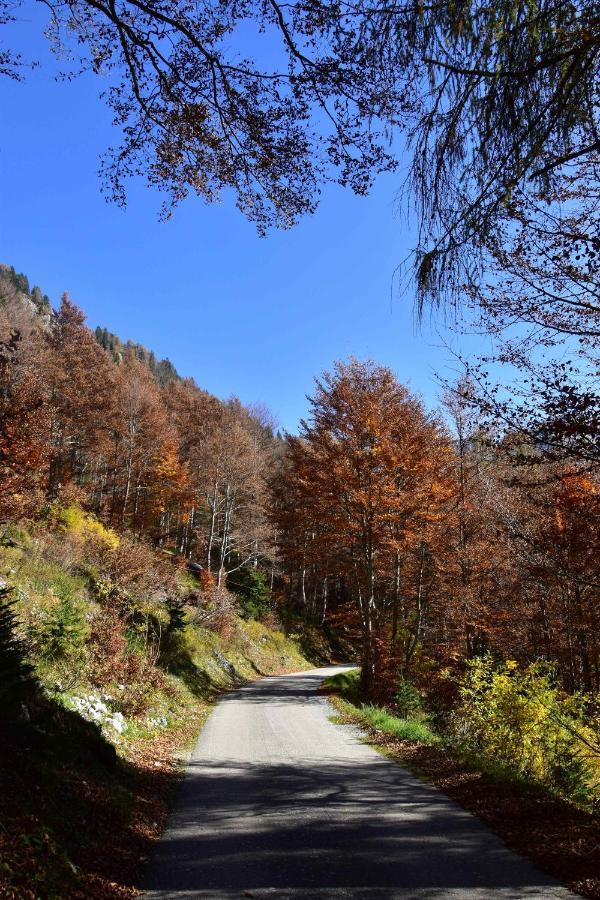 Chalet Brenta Dolomites Madonna 外观 照片
