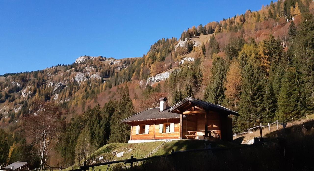 Chalet Brenta Dolomites Madonna 外观 照片