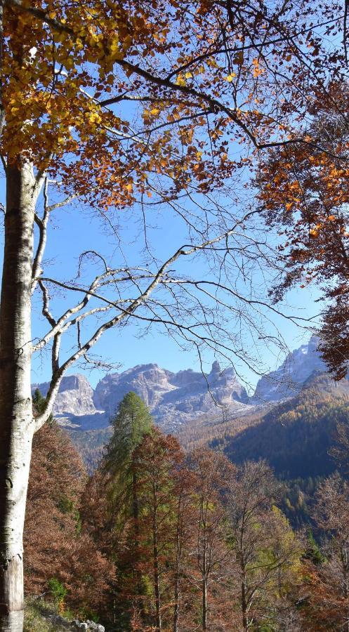 Chalet Brenta Dolomites Madonna 外观 照片